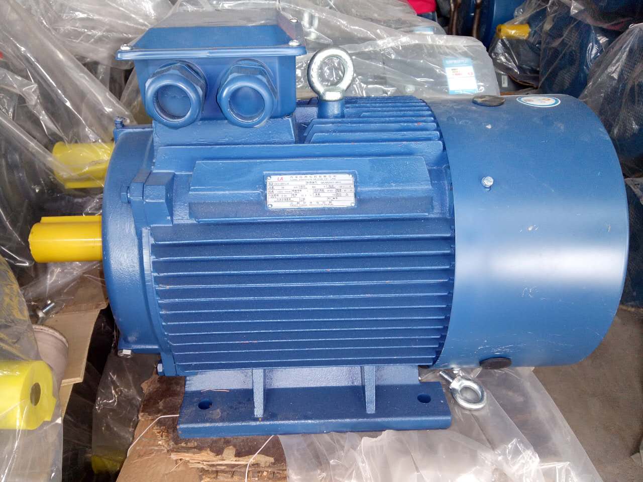 Three Phase Asynchronous Motor - Image 3