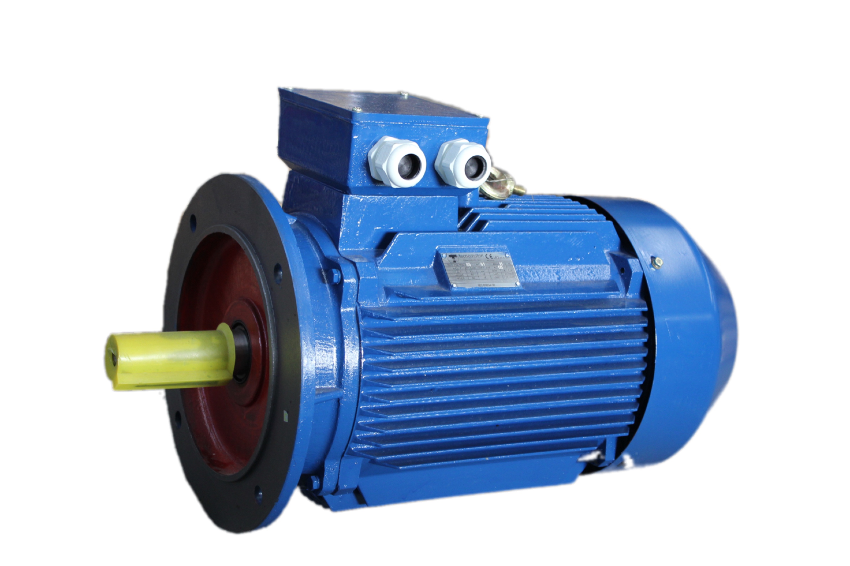 Three Phase Asynchronous Motor - Image 2