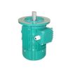 Three-Phase Asynchronous Electric Motor