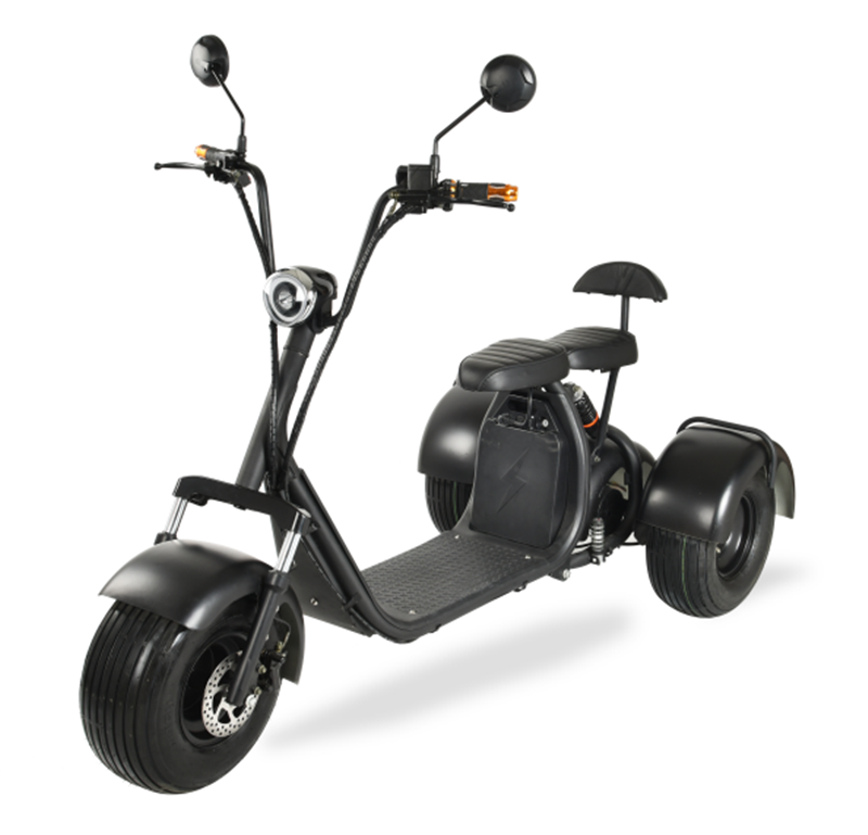 THREE WHEEL E-MOTORCYCLE - Image 3