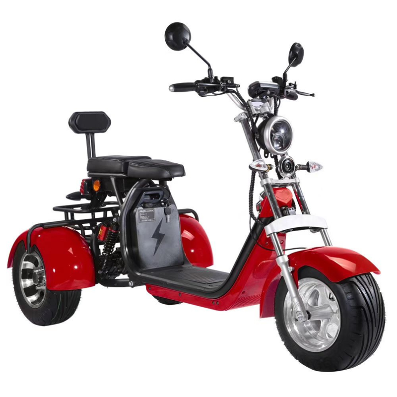 THREE WHEEL E-MOTORCYCLE - Image 2