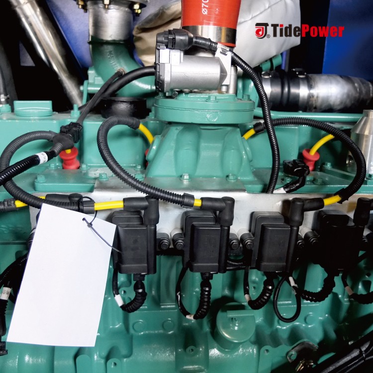 Tide Power Gas Generator with Canopy - Image 2
