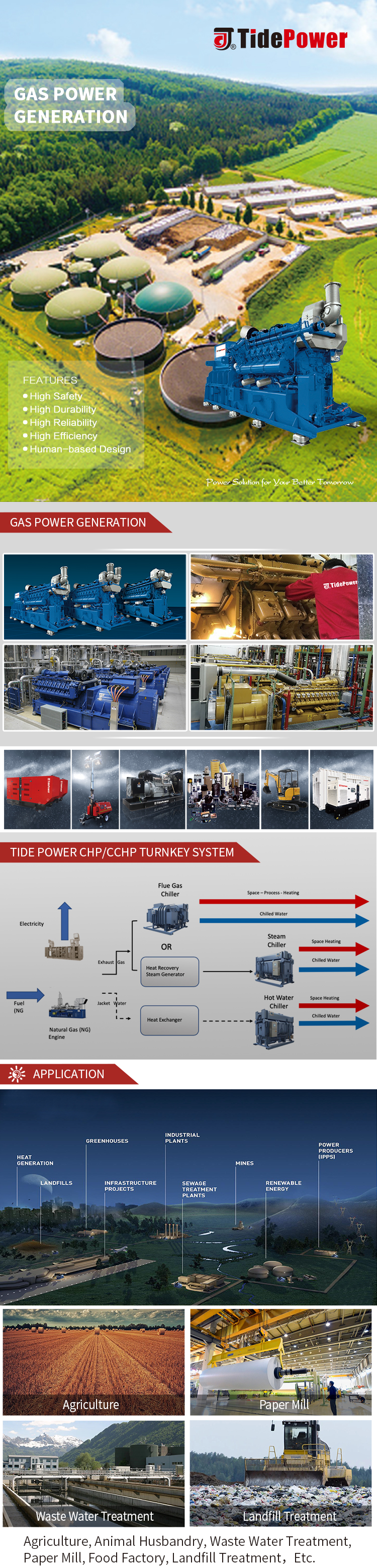 Diagram showing the CHP/CCHP turnkey system process flow