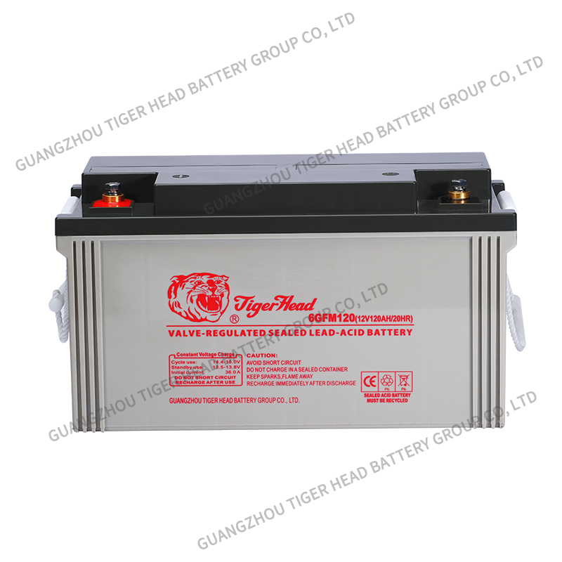 Tiger Head Brand 6GFM120 12V 120AH Valve-Regulated Lead Acid Battery - Image 2