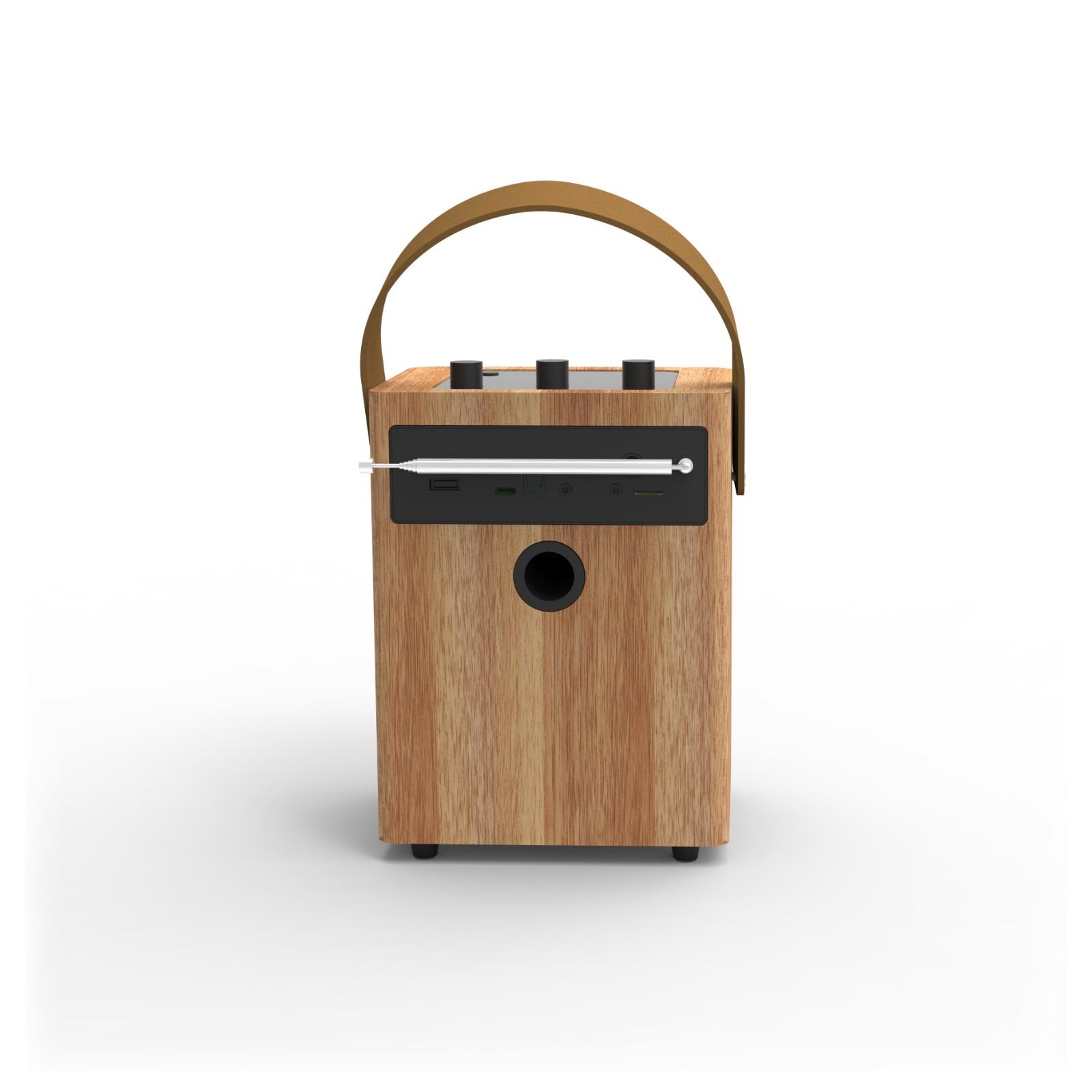 Portable Bluetooth Live Streaming Speaker