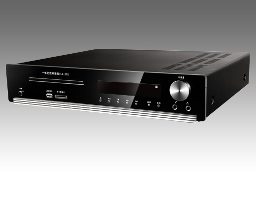 Portable Digital Audio Player with USB and SD Card Slots