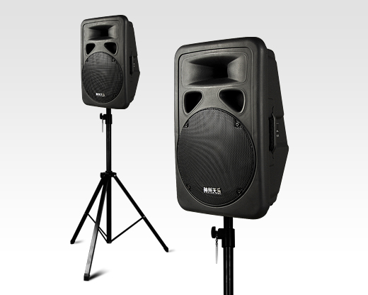 PA Loudspeaker System for Live Sound and Public Address