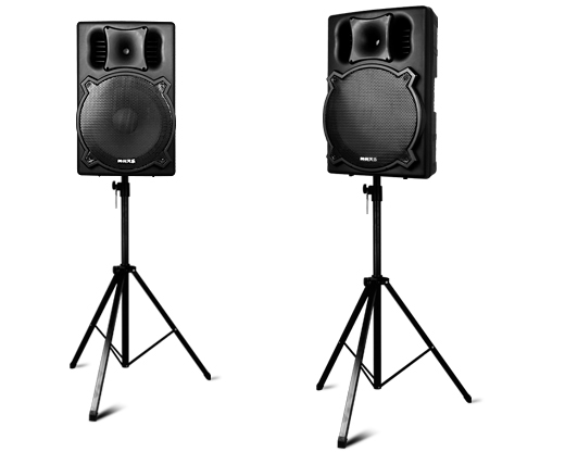 Professional PA Speaker System with Tripod Stands