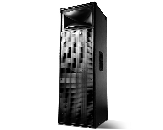 Professional Audio Loudspeaker