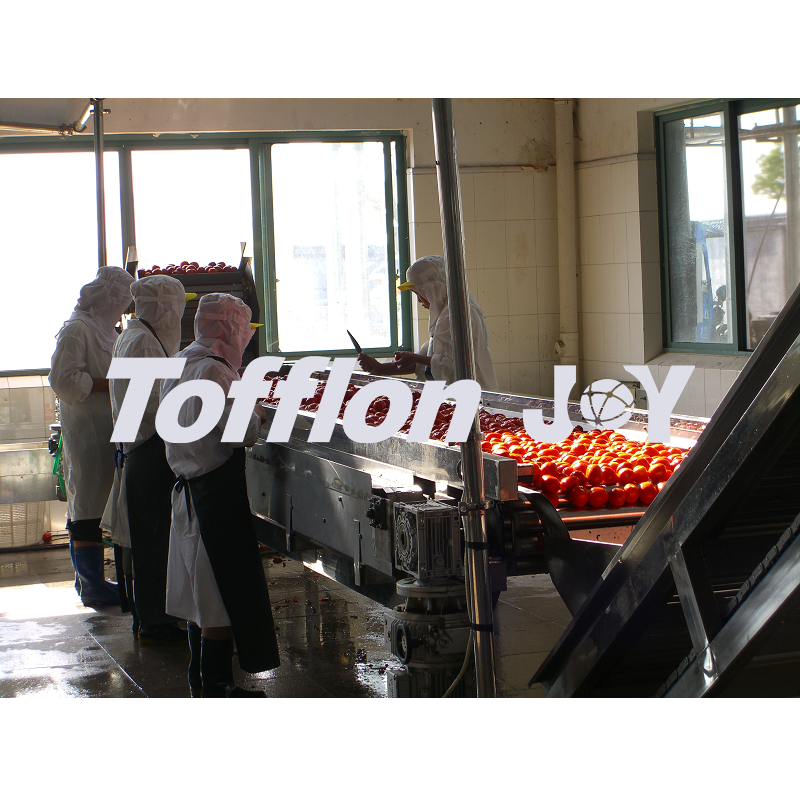 Tomato processing line - Image 2