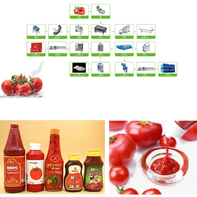 tomato processing line - Image 3