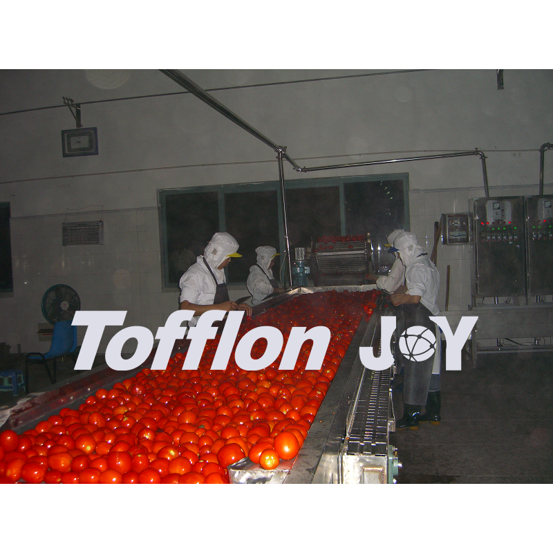tomato processing line - Image 2