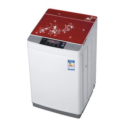 Top Loading Washing Machine with Digital Controls