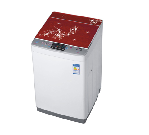 Top Loading 8kg Washing Machine