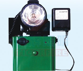 High-Intensity Handheld Torch with AC Adapter