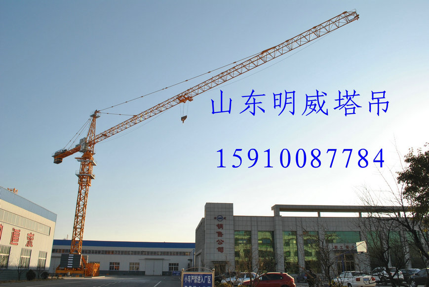 Tower Crane QTZ500 TC7550 Max.load:25T - Image 2