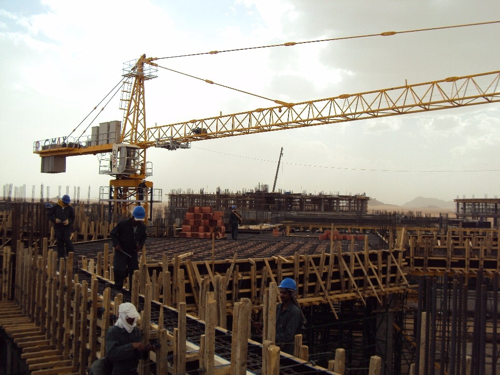 TC6016 Tower Crane