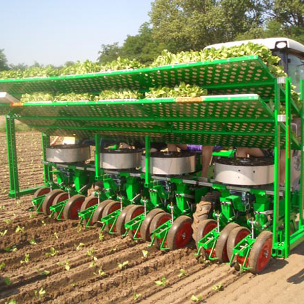 Multi-Row Seedling Transplanter