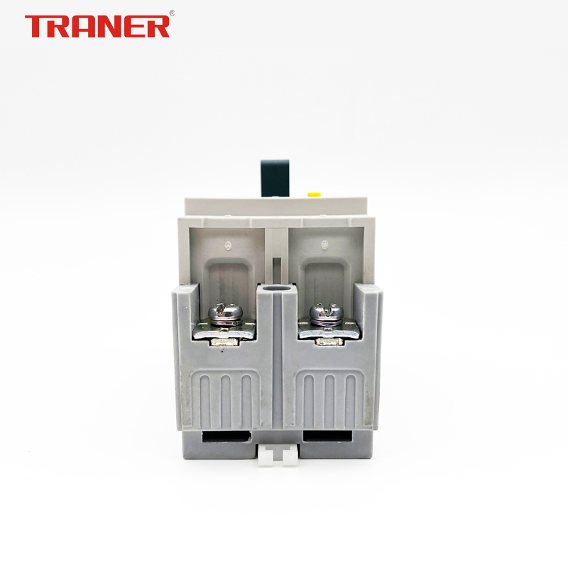 TRE2-50/2 Frame.50 ELCB Bimetal Type, Korea Design - Image 2