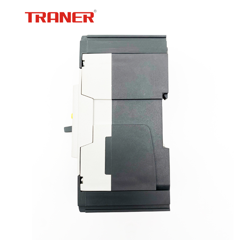 TREF1 63A 2 Poles, Earth Leakage Protection, Moulded Case Circuit Breaker Type ELCB - Image 3