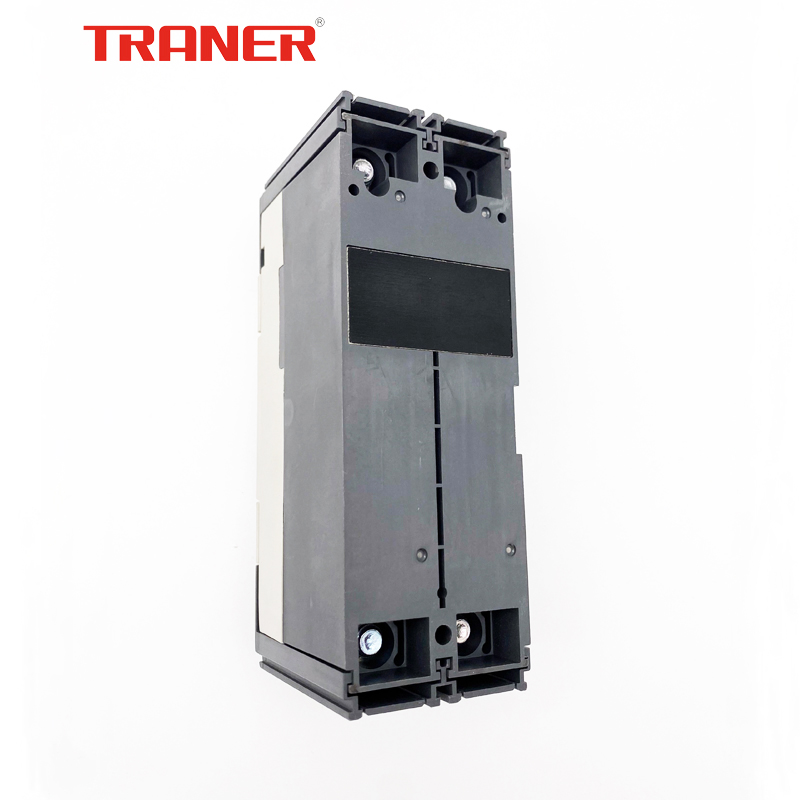 TREF2 125A 2 Poles, Moulded Case Circuit Breaker Type ELCB - Image 3