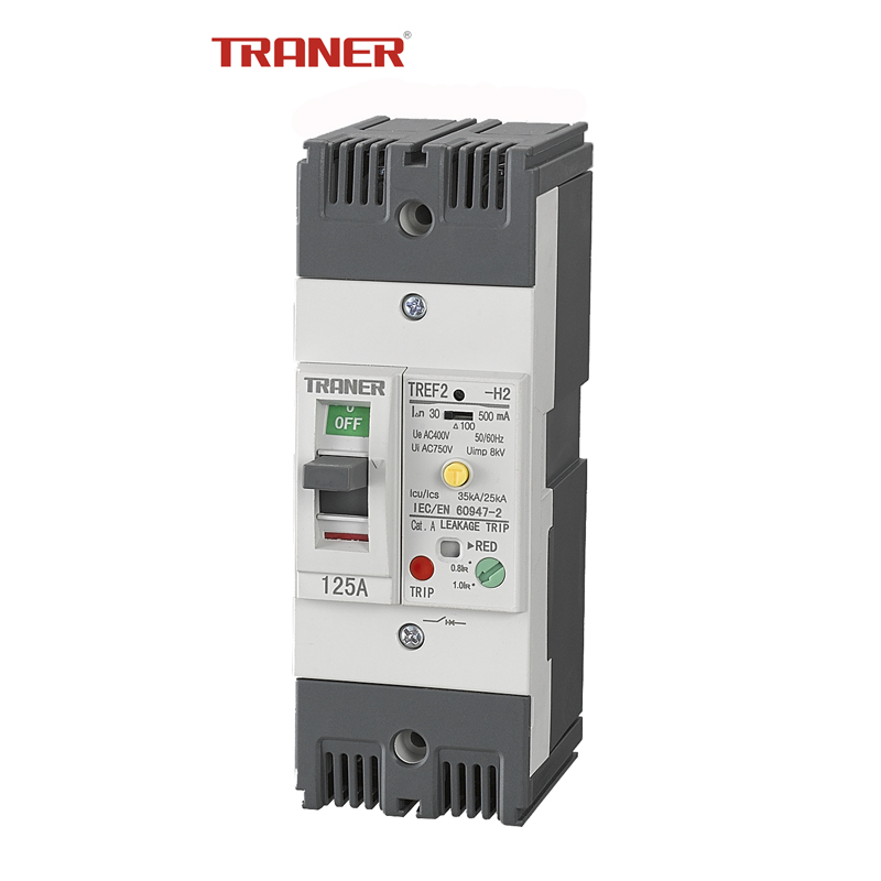 TREF2 125A 2 Poles, Moulded Case Circuit Breaker Type ELCB - Image 2