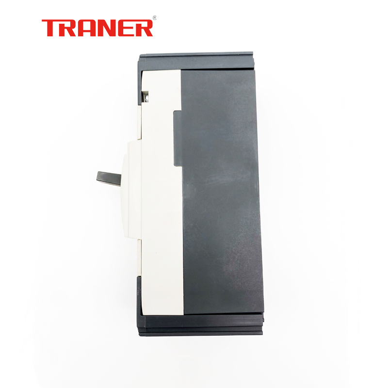 125A 2-Pole Molded Case Circuit Breaker with ELCB