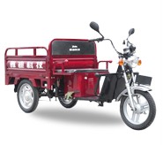 Utility Cargo Tricycle