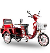 Adult Tricycle with Cargo Basket