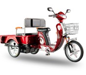 Cargo and Passenger Tricycle with Step-Through Frame