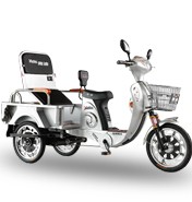 Step-Through Frame Tricycle with Cargo and Suspension