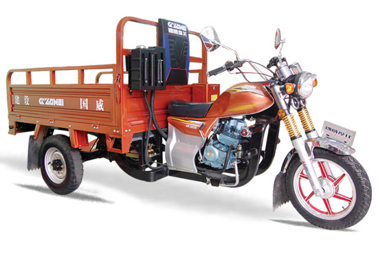 Cargo Transport Tricycle