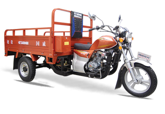 Cargo Transport Motorized Tricycle