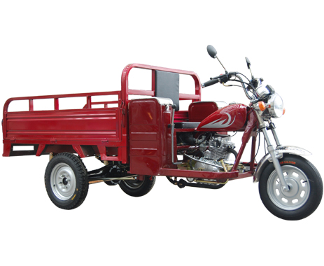 Cargo Transport Tricycle