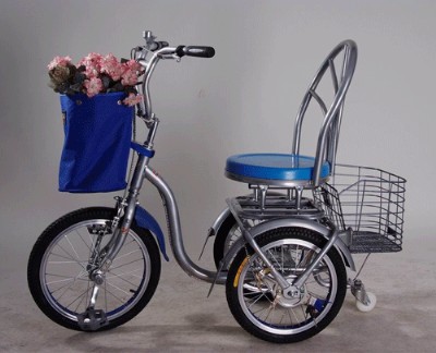 Adaptive Tricycle with Swivel Seat and Basket