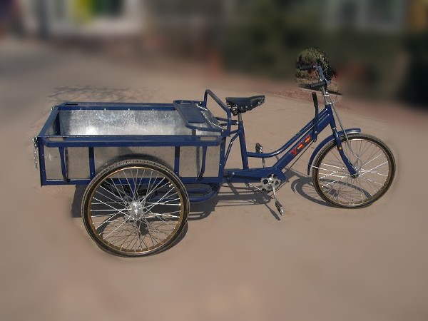 Utility Cargo Tricycle with Metal Cargo Bed