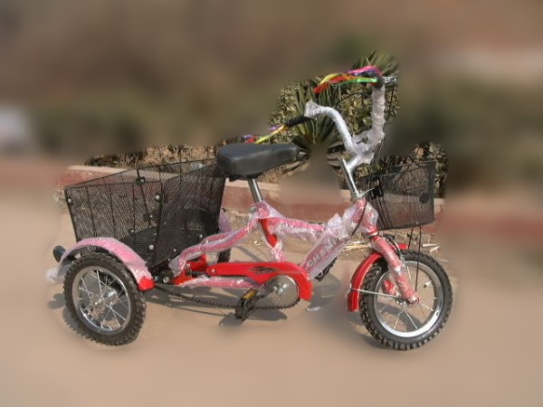 Steel Frame Tricycle with Baskets