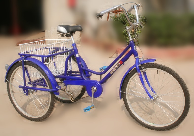 Adult Step-Through Tricycle with Rear Basket
