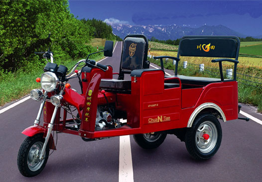 Utility Tricycle with Cargo Area
