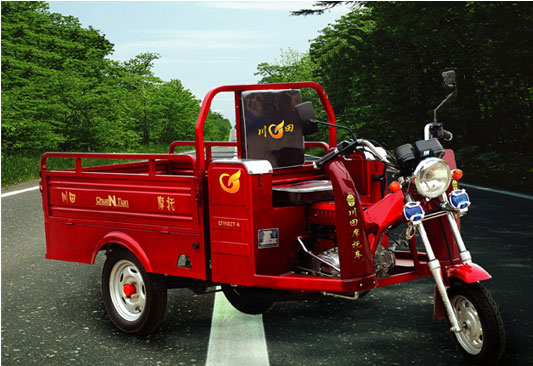 Utility Cargo Tricycle with Backrest