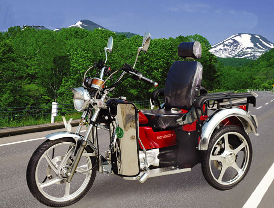 Adult Tricycle with Cargo Rack