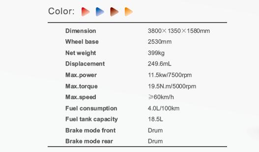 Technical specifications overview for the 250cc cargo tricycle