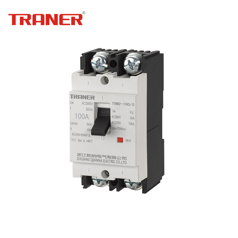 Two-Pole Molded Case Circuit Breaker 100A