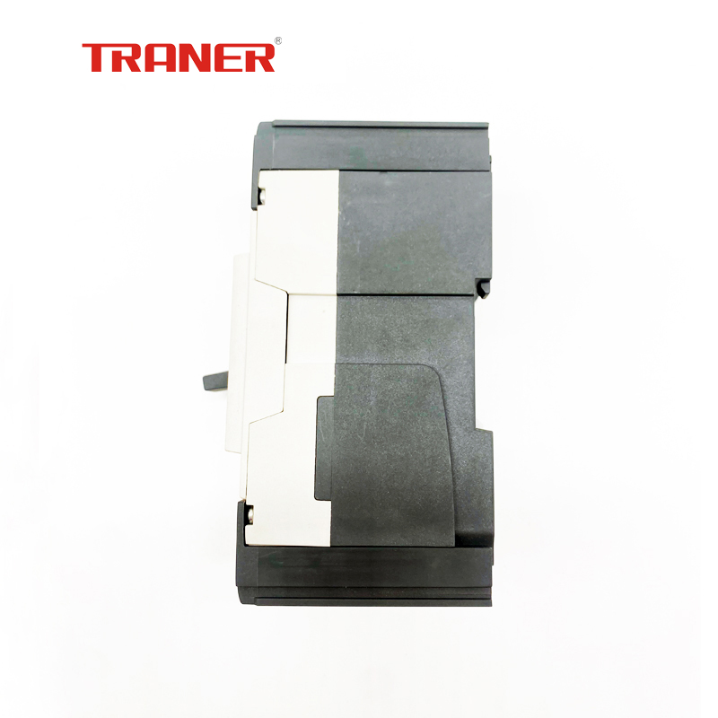TRMF1 Frame.63A 2P DIN Rail and Screw Mounting, High Breaker Capacity MCCB - Image 2