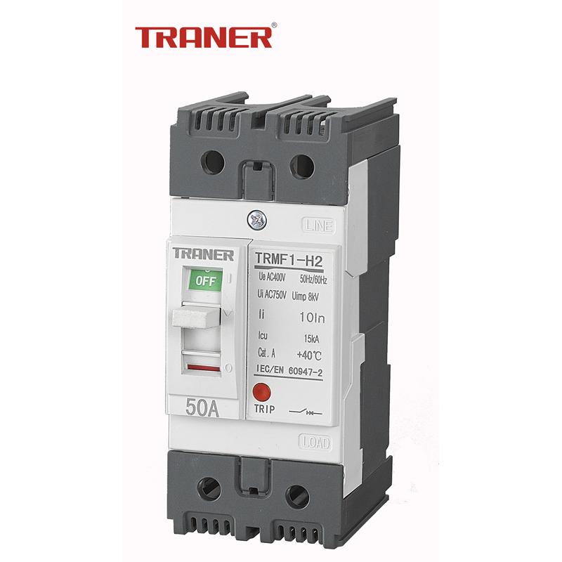 63A 2-Pole MCCB for DIN Rail/Screw Mounting