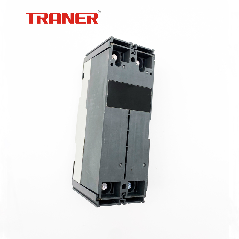 125A 2-Pole Molded Case Circuit Breaker