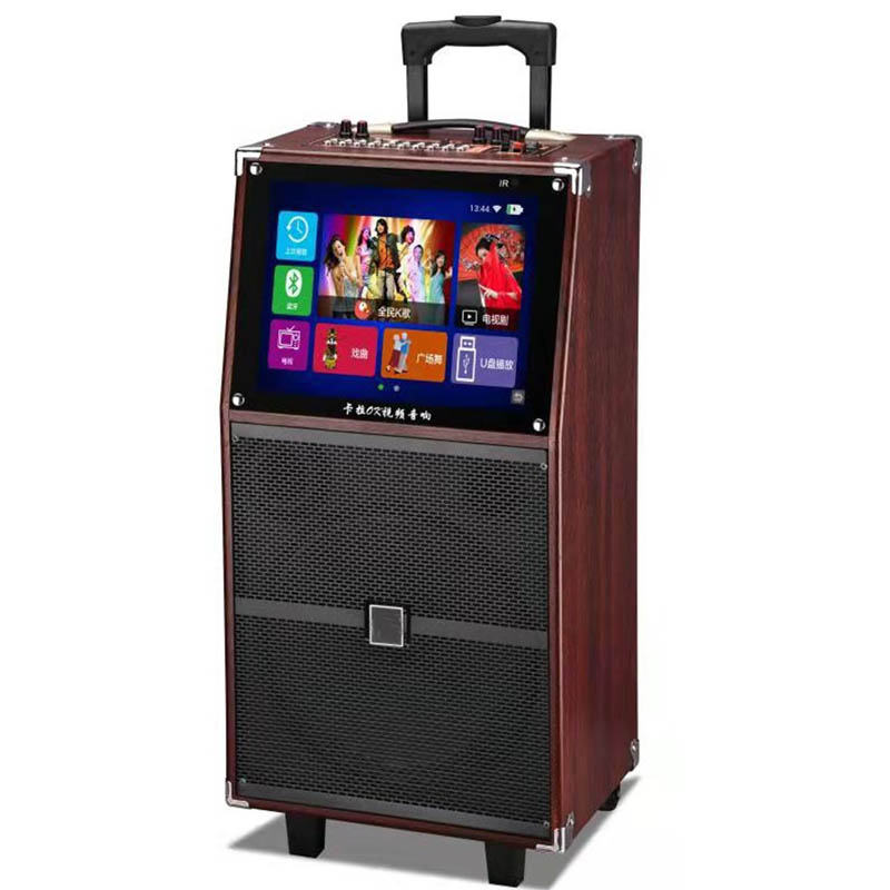 Portable Karaoke Trolley Speaker with U-Disk Playback