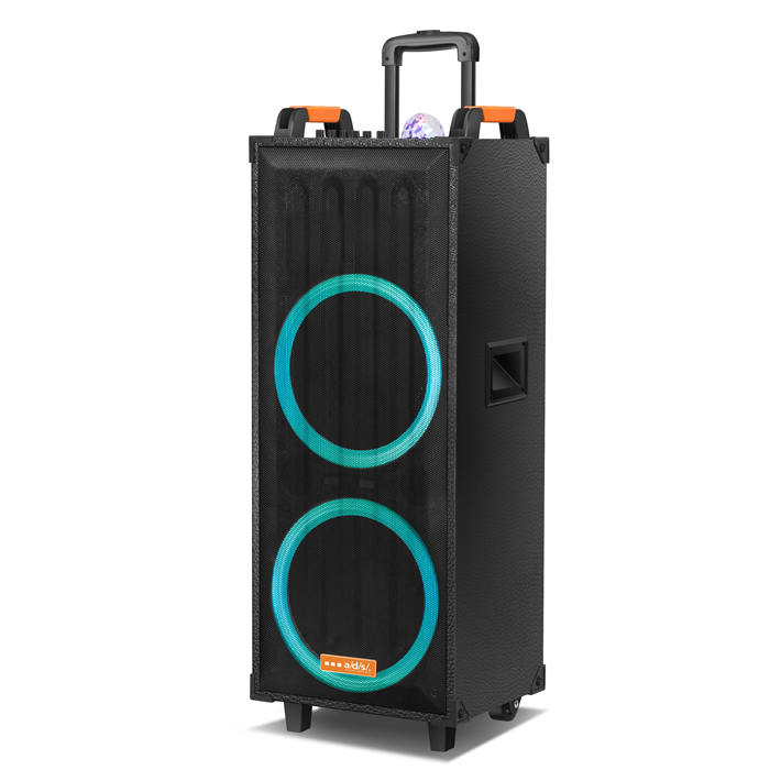 Portable Trolley Speaker with Disco Lights