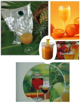 Tropical Fruit Juice Processing Plant