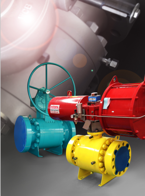 Trunnion Mounted Ball Valve - Image 3